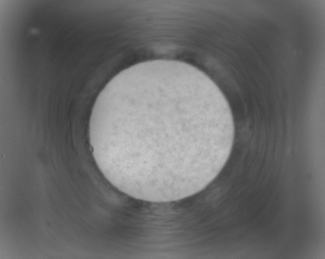 X0000081401249200702090055