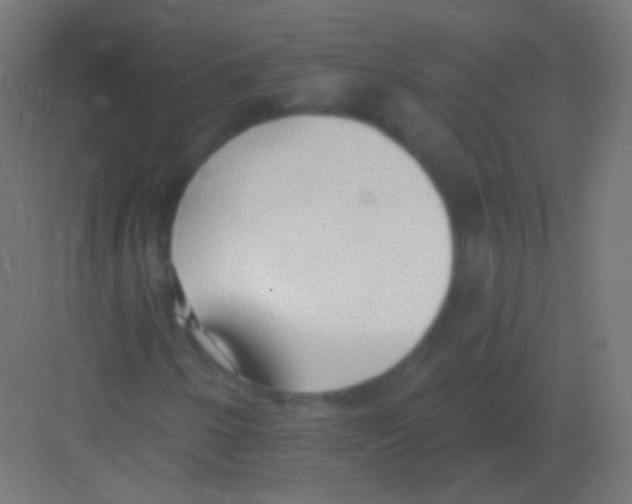 X0000081401250200702090055