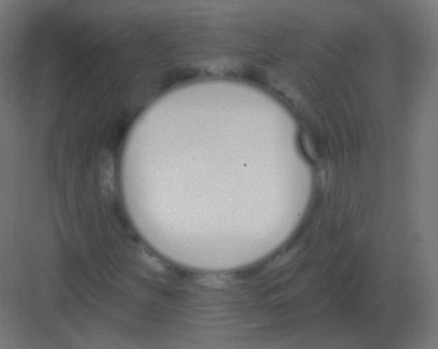 X0000081401251200702090055