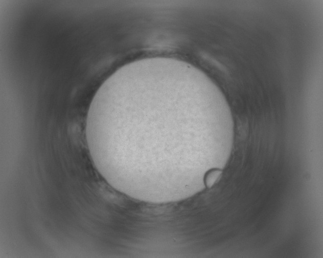 X0000081401254200702090054