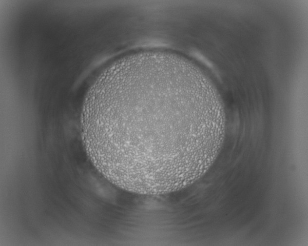 X0000081401255200702090054