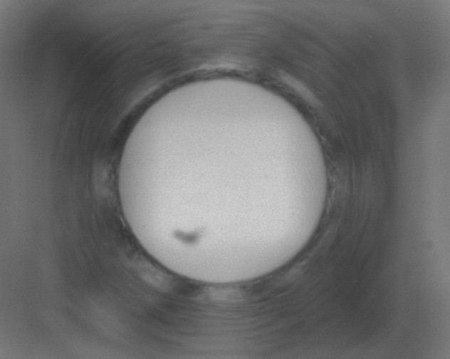 X0000081401258200702090054