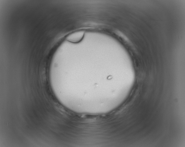 X0000081401259200702090054