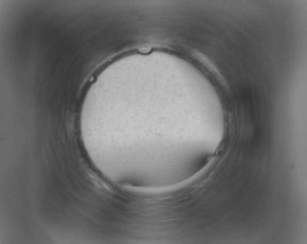 X0000081401260200702090054