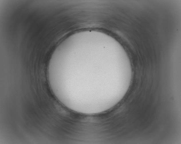 X0000081401265200702090054