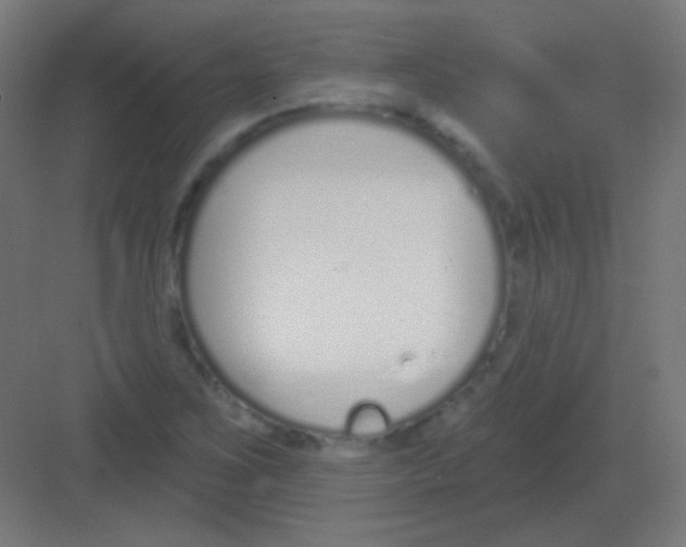 X0000081401267200702090054