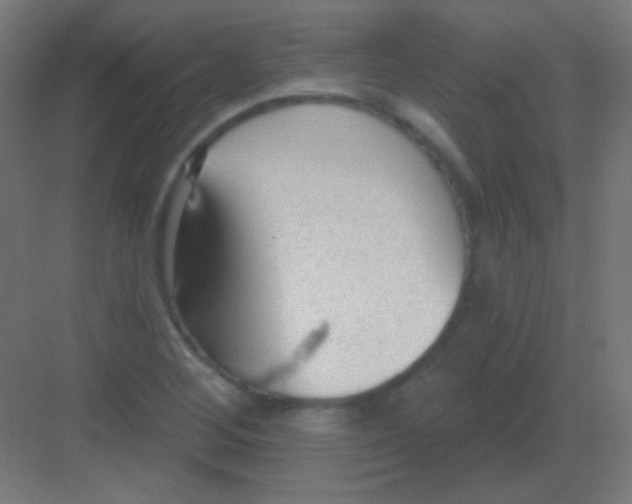 X0000081401268200702090054