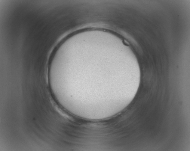 X0000081401272200702090054