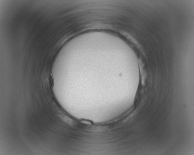 X0000081401273200702090054