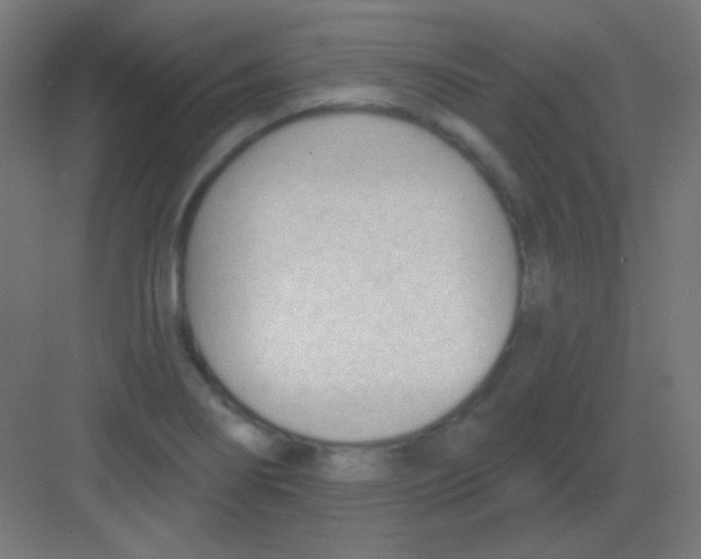 X0000081401274200702090054