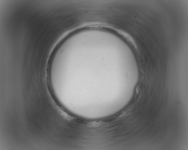 X0000081401279200702090054