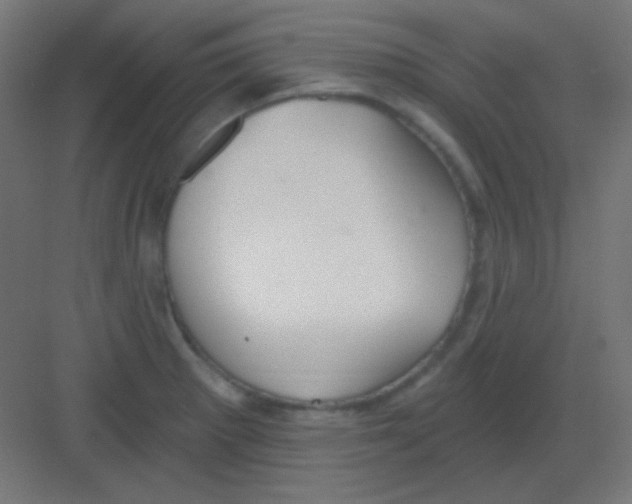 X0000081401281200702090054