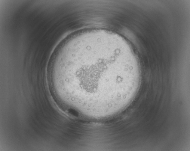 X0000081401283200702090054