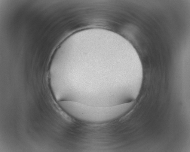 X0000081401284200702090054