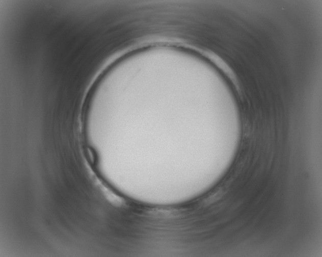 X0000081401287200702090054