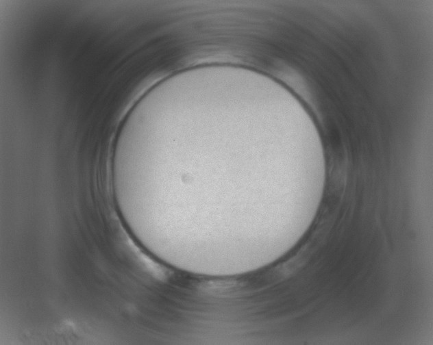 X0000081401290200702090054