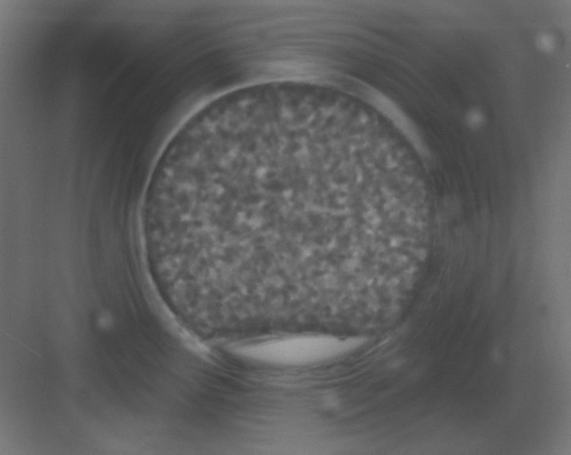 X0000081401291200702090054