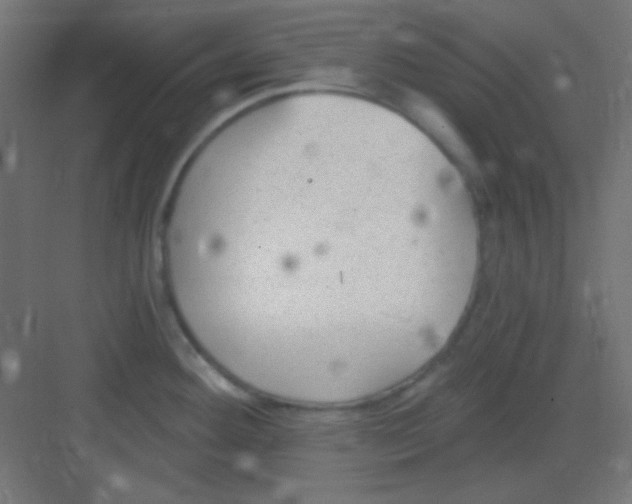 X0000081401292200702090054