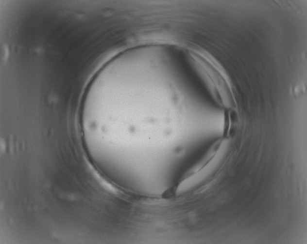 X0000081401293200702090054