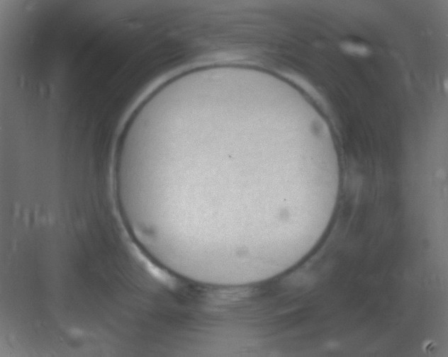 X0000081401294200702090054