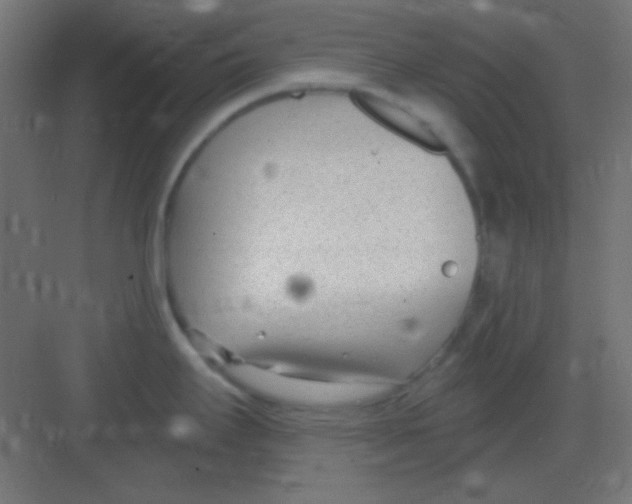 X0000081401295200702090054