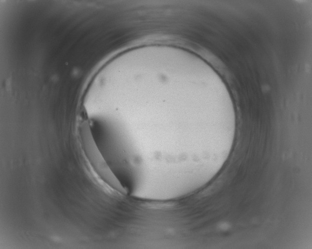 X0000081401296200702090054