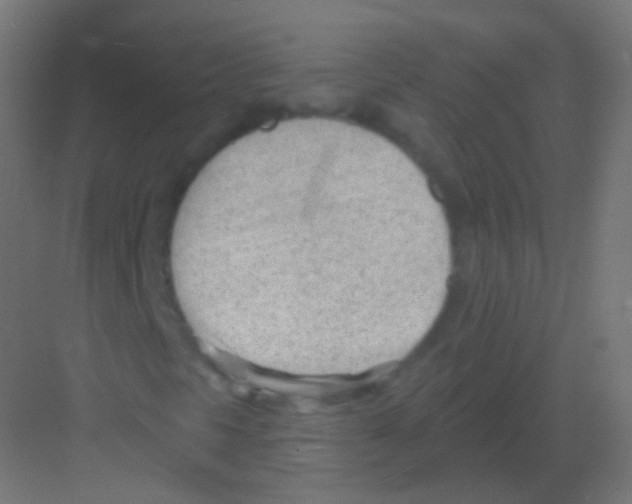 X0000081401297200702090053