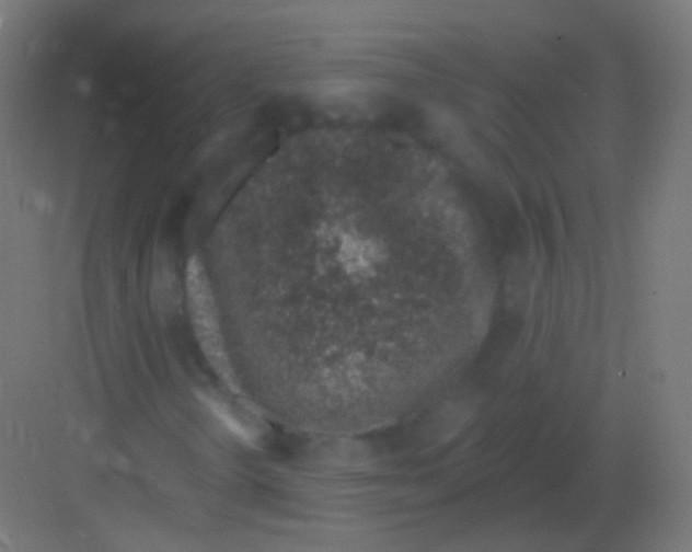 X0000081401298200702090053