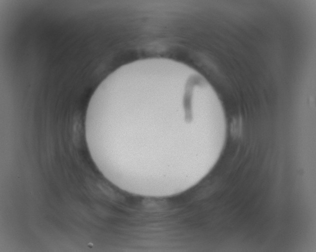 X0000081401299200702090053