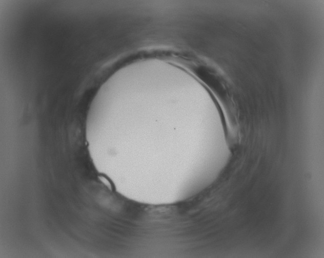 X0000081401303200702090053