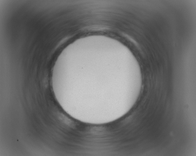 X0000081401306200702090053