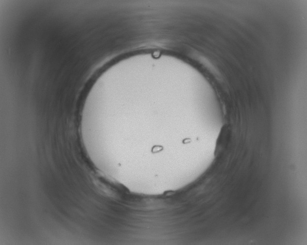 X0000081401308200702090053