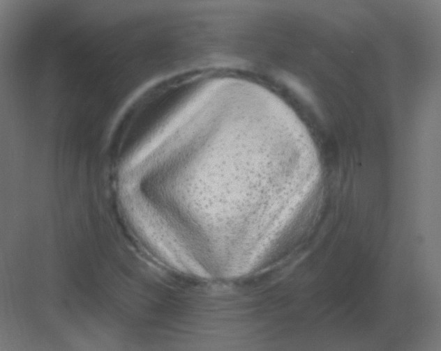 X0000081401310200702090053