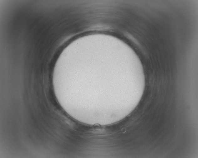 X0000081401315200702090053