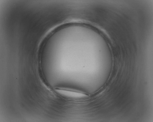 X0000081401319200702090053