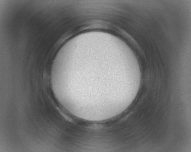 X0000081401321200702090053