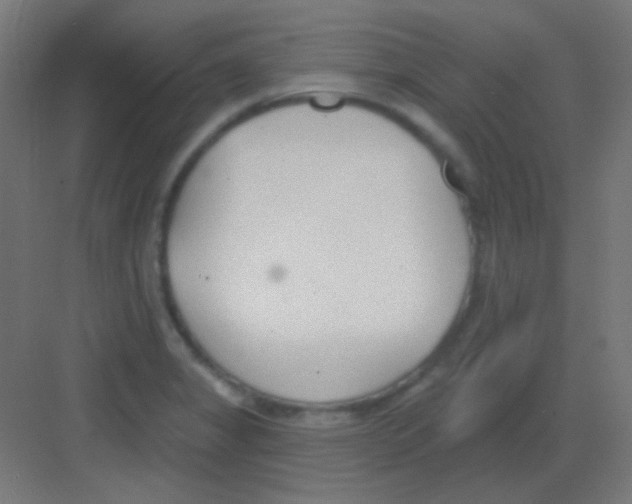 X0000081401325200702090053