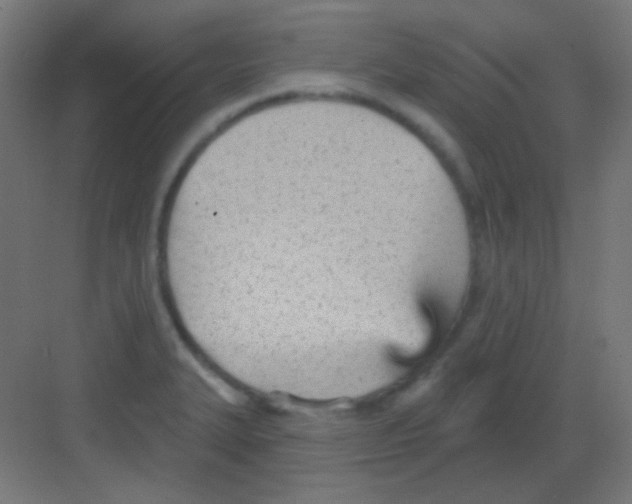 X0000081401327200702090053