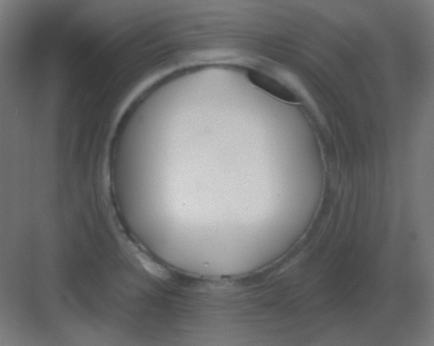 X0000081401328200702090053