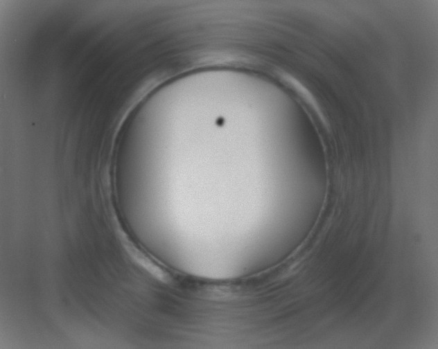 X0000081401330200702090053