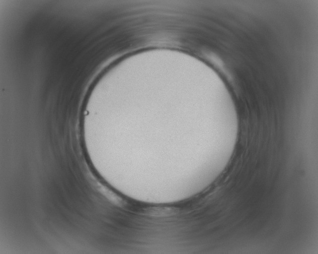 X0000081401331200702090054