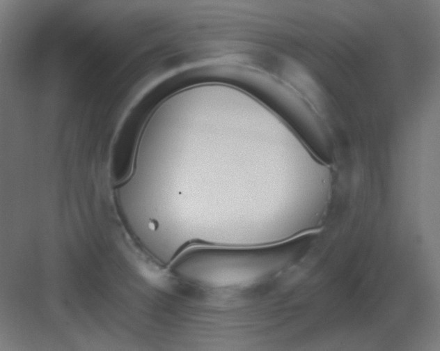 X0000081401332200702090054