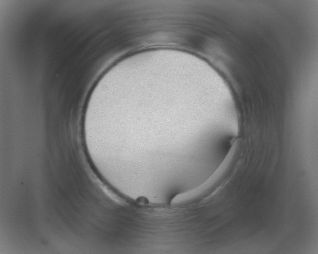 X0000081401333200702090054