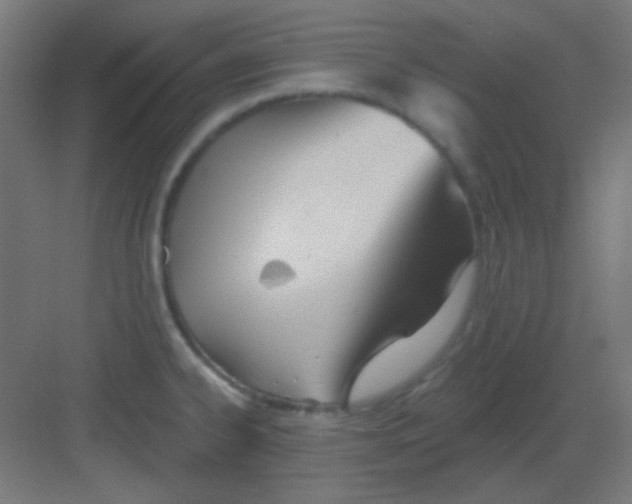 X0000081401334200702090054