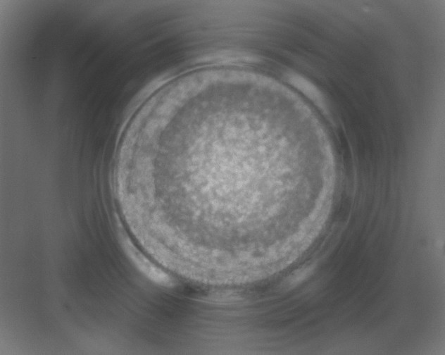 X0000081401338200702090054