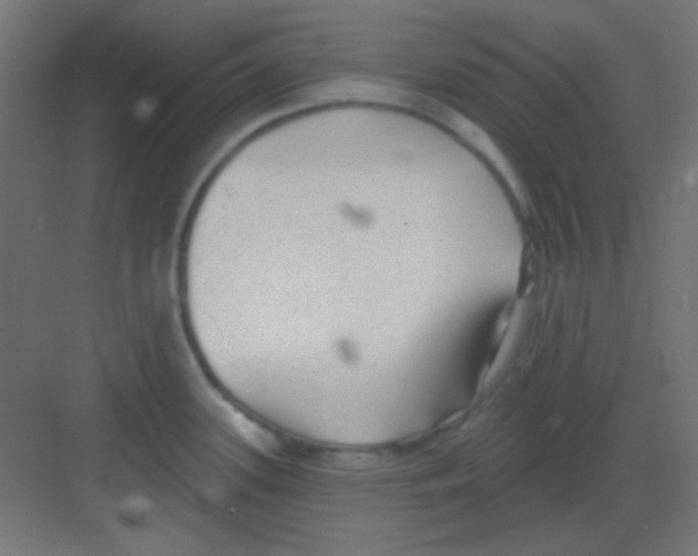 X0000081401339200702090054