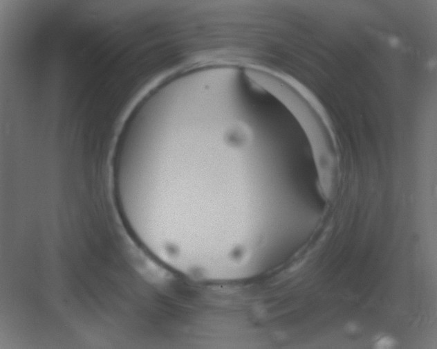 X0000081401341200702090054