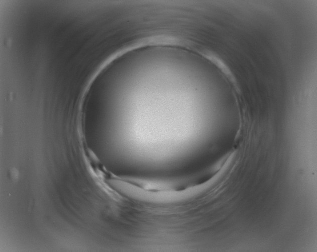 X0000081401342200702090054