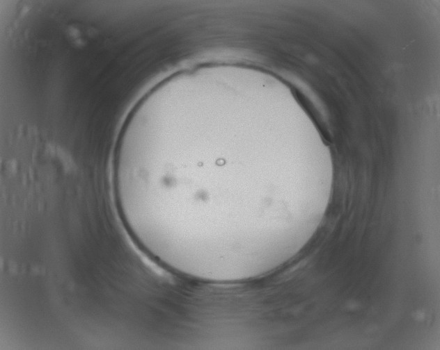 X0000081401343200702090054