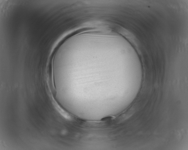 X0000081401344200702090054